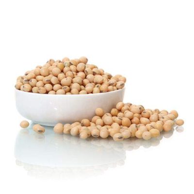 SOYBEAN SEED