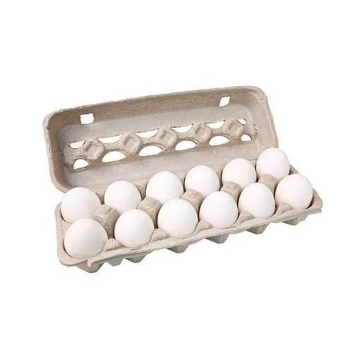 White Fresh Table Eggs