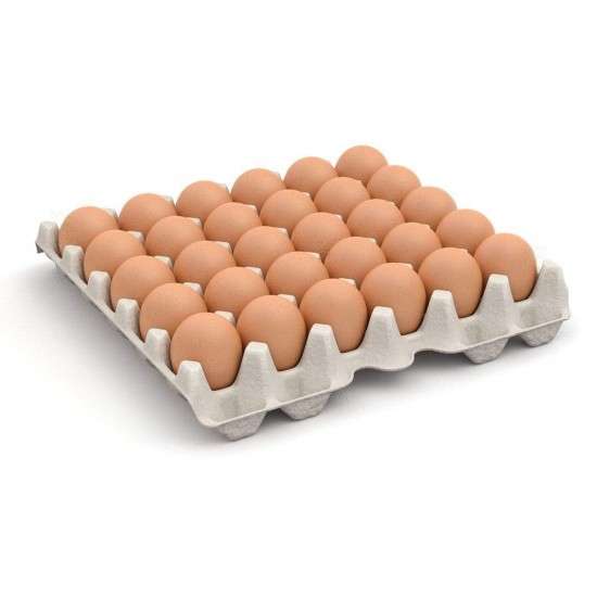 Fresh Table Egg