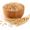 wheat grain
