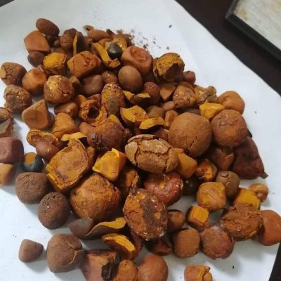 100% Natural Cow OX Cow Gallstone and  Cattle gallstones.